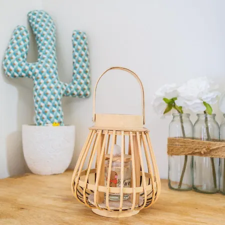 Apartment Lou Nid De Bisca Biscarrosse